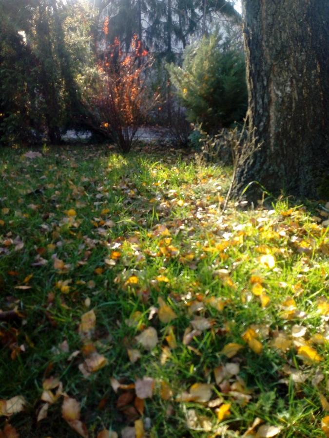 Roztoczanski Dworek Zamość Exterior foto